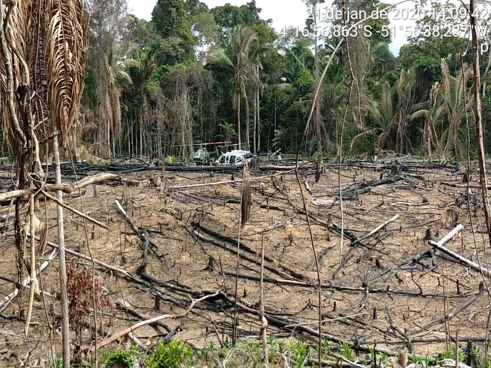 Imagem de fiscalização do Ibama na terra indígena Ituna-Itatá em 21 de janeiro de 2020 mostra sinais de desmatamento ilegal