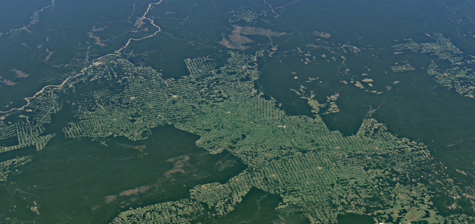 Imagem de satélite mostra avanço do pasto em Rondônia.